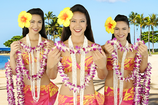 SOH_AboutUs_ParadiseToGo_OPT SOH_AboutUs_ParadiseToGo_OPT